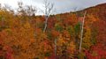 kanada2016-10-09_152.jpg